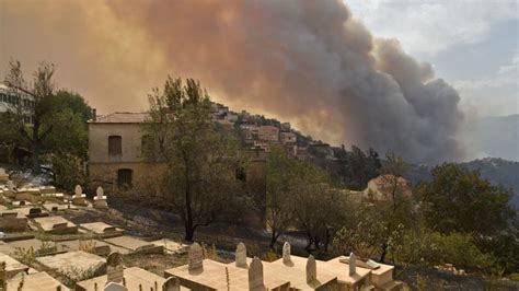 Wildfire rips through Algeria, killing 65 people including soldiers.